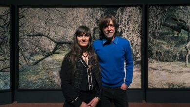Instalación "Argentina" del Grupo Mondongo, vista panorámica de los paneles de plastilina en el Museo Evita Palacio Ferreyra