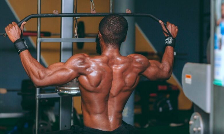 Microinjerto muscular implantado bajo la piel de un ratón que se contrae de forma autónoma