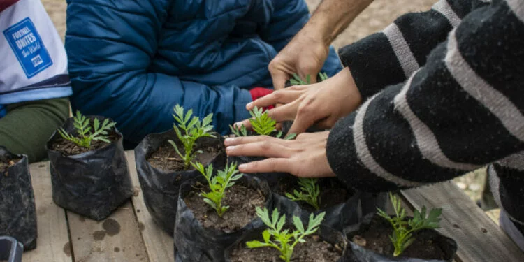 Huerta Modelo en Bella Vista con voluntarios entregando plantines florales
