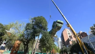 Dinosaurio gigante de metal y plástico instalado en el Parque de las Tejas, Córdoba