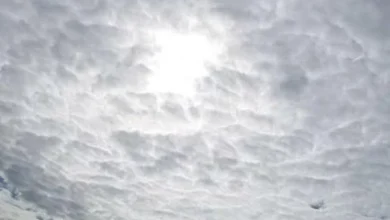 Pronóstico del clima para Córdoba el 14 de septiembre con cielo nublado y temperaturas entre 9°C y 16°C