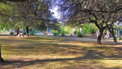 Participantes observando aves autóctonas en el Parque de la Vida, Córdoba