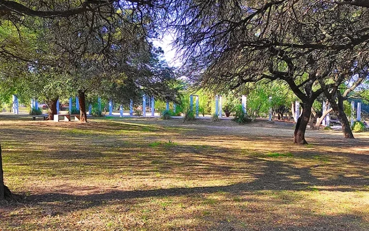 Participantes observando aves autóctonas en el Parque de la Vida, Córdoba