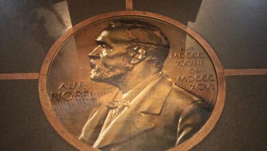 Premio Nobel 2026 a la optogenética
