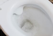 Vinagre blanco vertido sobre la base del inodoro
