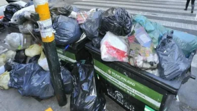 Camión de recolección de residuos circulando por una calle del centro de Córdoba