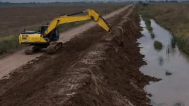 Obras de drenaje y enarenado en caminos rurales de la provincia de Córdoba