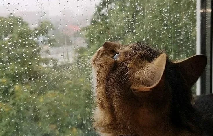 Cielo nublado y lluvia ligera sobre la ciudad de Córdoba en la mañana del 1 de octubre