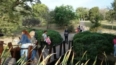 Vista panorámica del Jardín Botánico de Córdoba con áreas verdes y senderos
