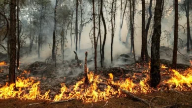 Mapa que muestra los niveles de riesgo de incendio forestal en distintas áreas de la provincia de Córdoba